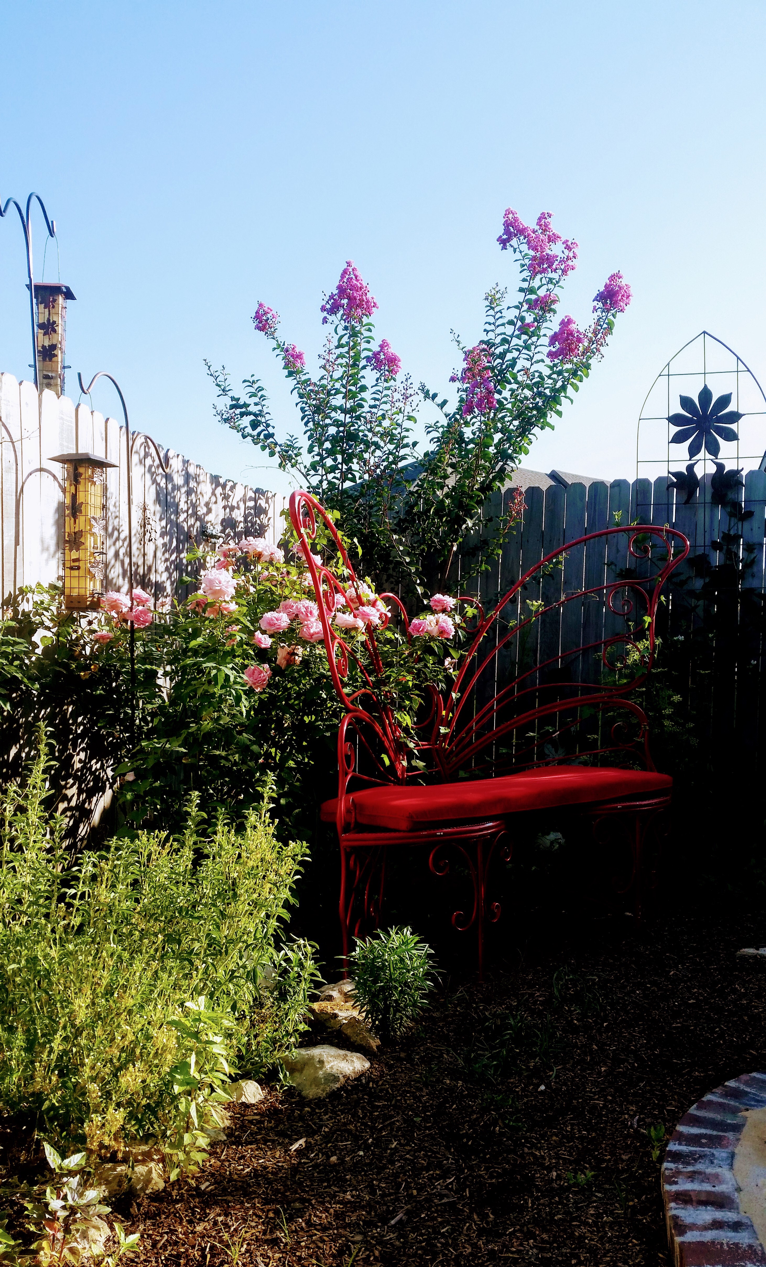 backyard designer near me on Lisa S Landscape Design Saving The Planet One Yard At A Time